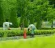 造園